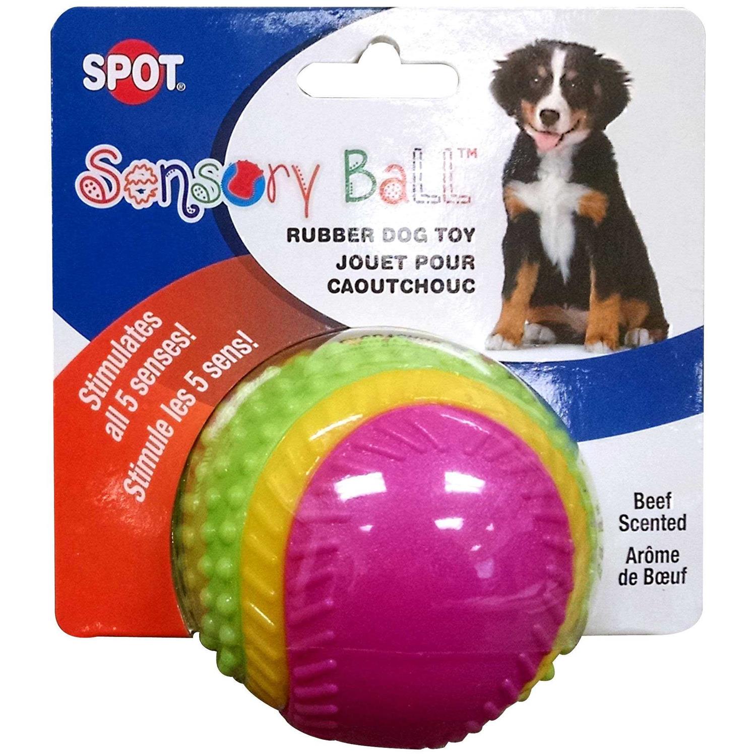 Ethical Pets Sensory Ball Dog Toy