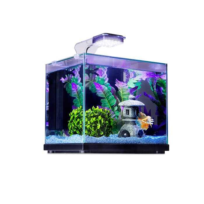 Imagitarium Glass Versa Aquarium