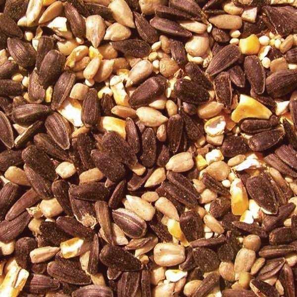 Cole’s BH05 Blazing Hot Blend Bird Seed