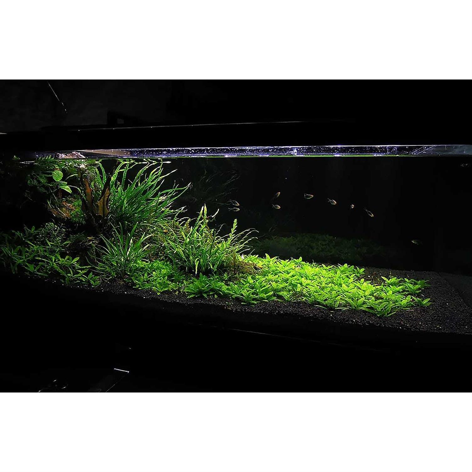 Ultum Nature Systems Controsoil Substrate