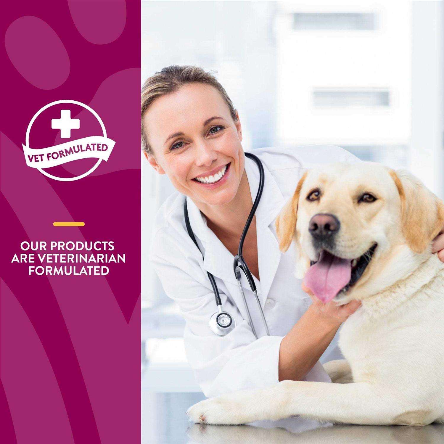 NaturVet Joint Health Soft Chews Level 3 Advanced for Dogs