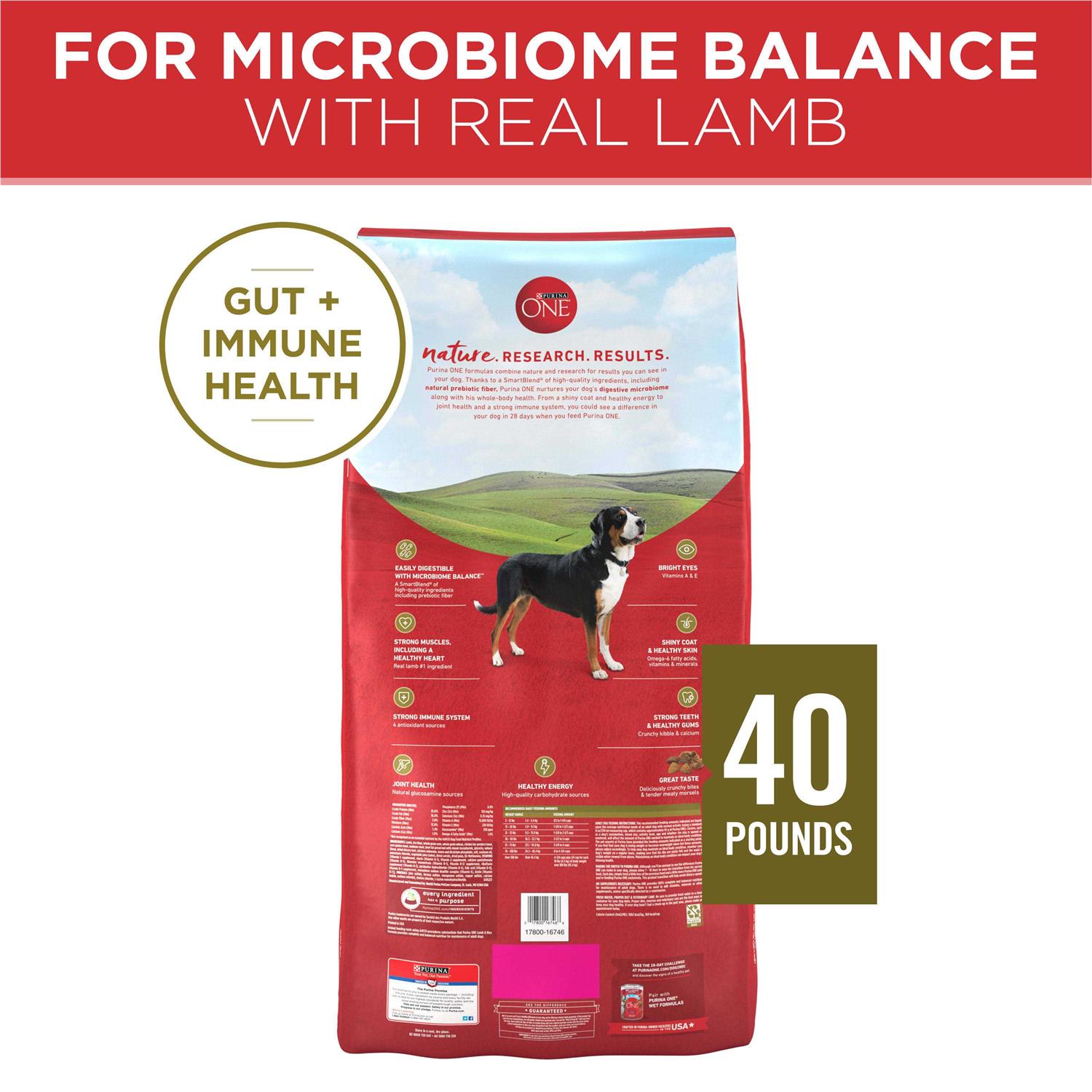 Purina ONE SmartBlend Lamb & Rice Dry Dog Food