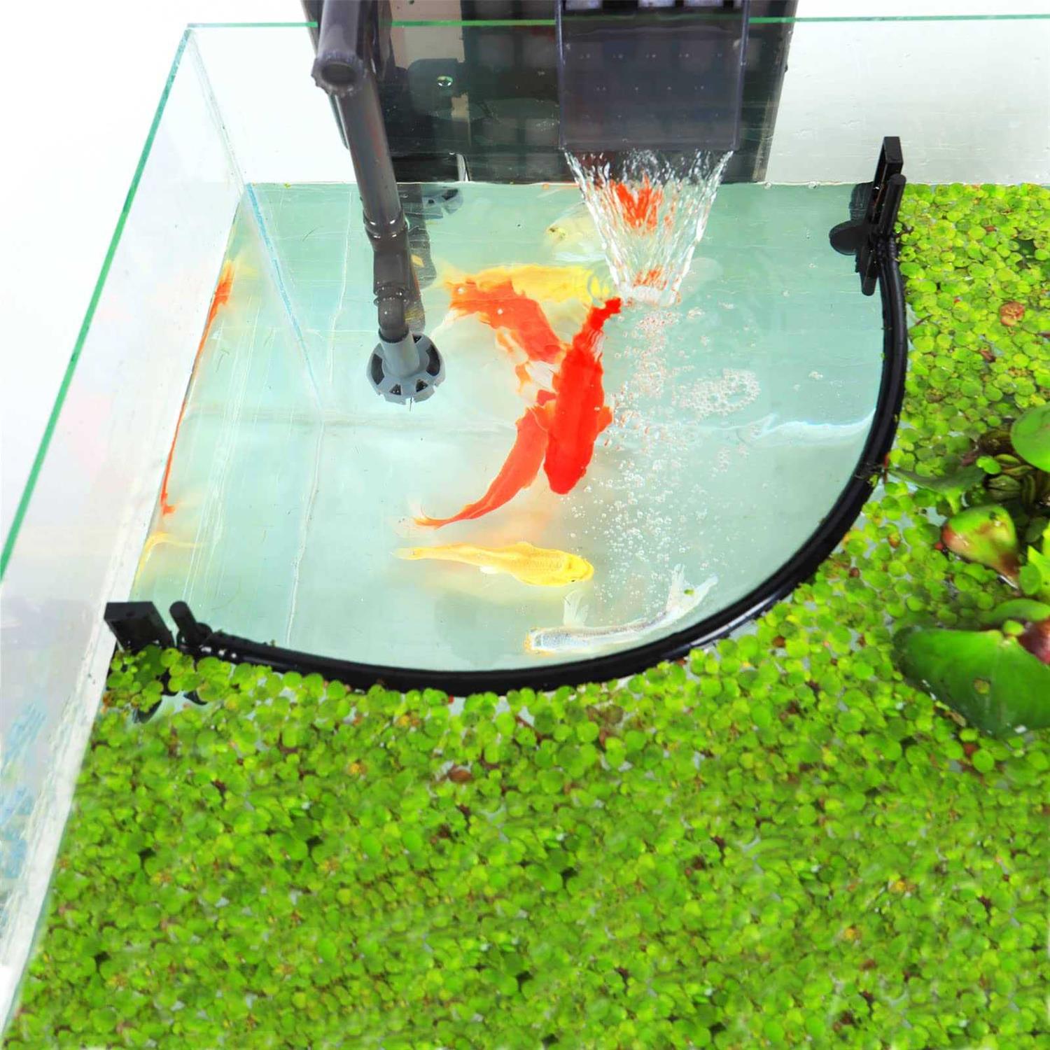 Hozoe Aquarium Floating Plant Corral, Intercepting Floating Plants from Filters and Heaters