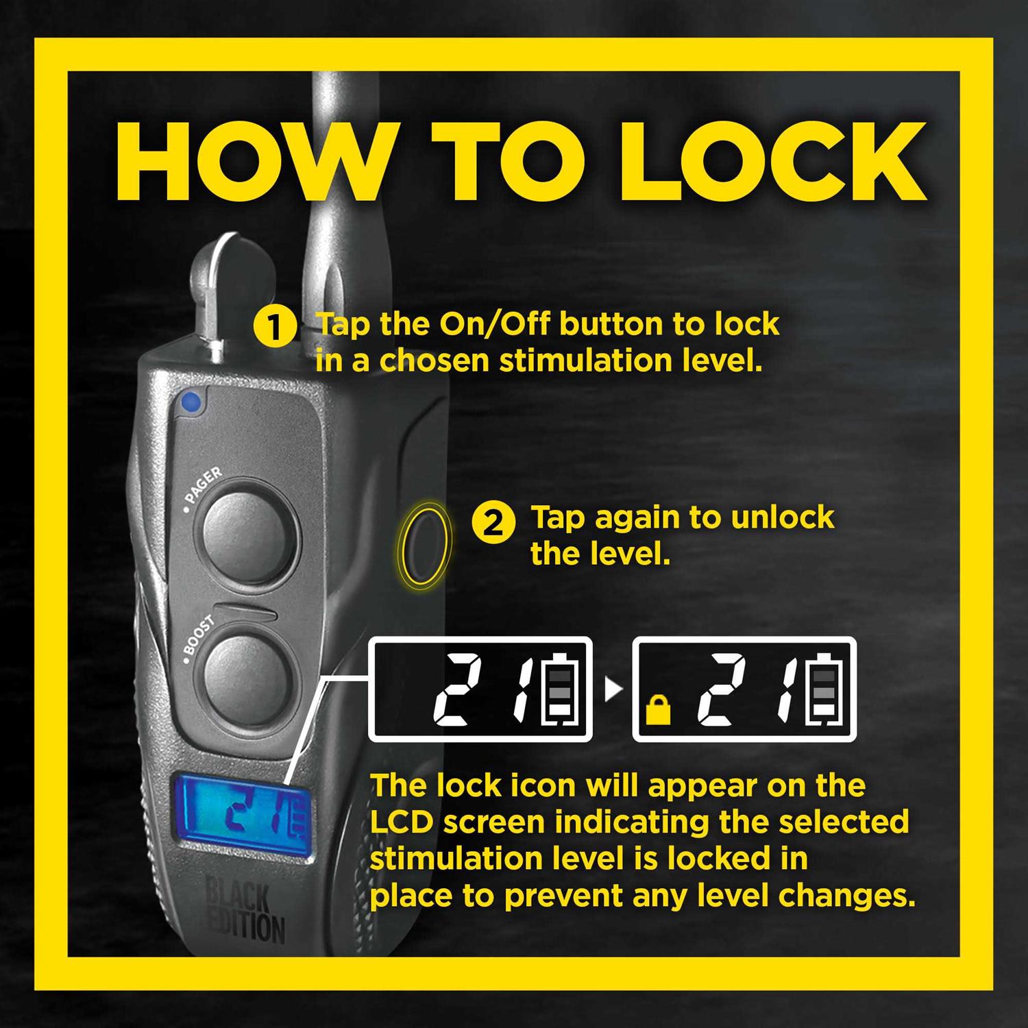 Dogtra 1900S Wetlands Boost & Lock Remote Dog Training E-Collar