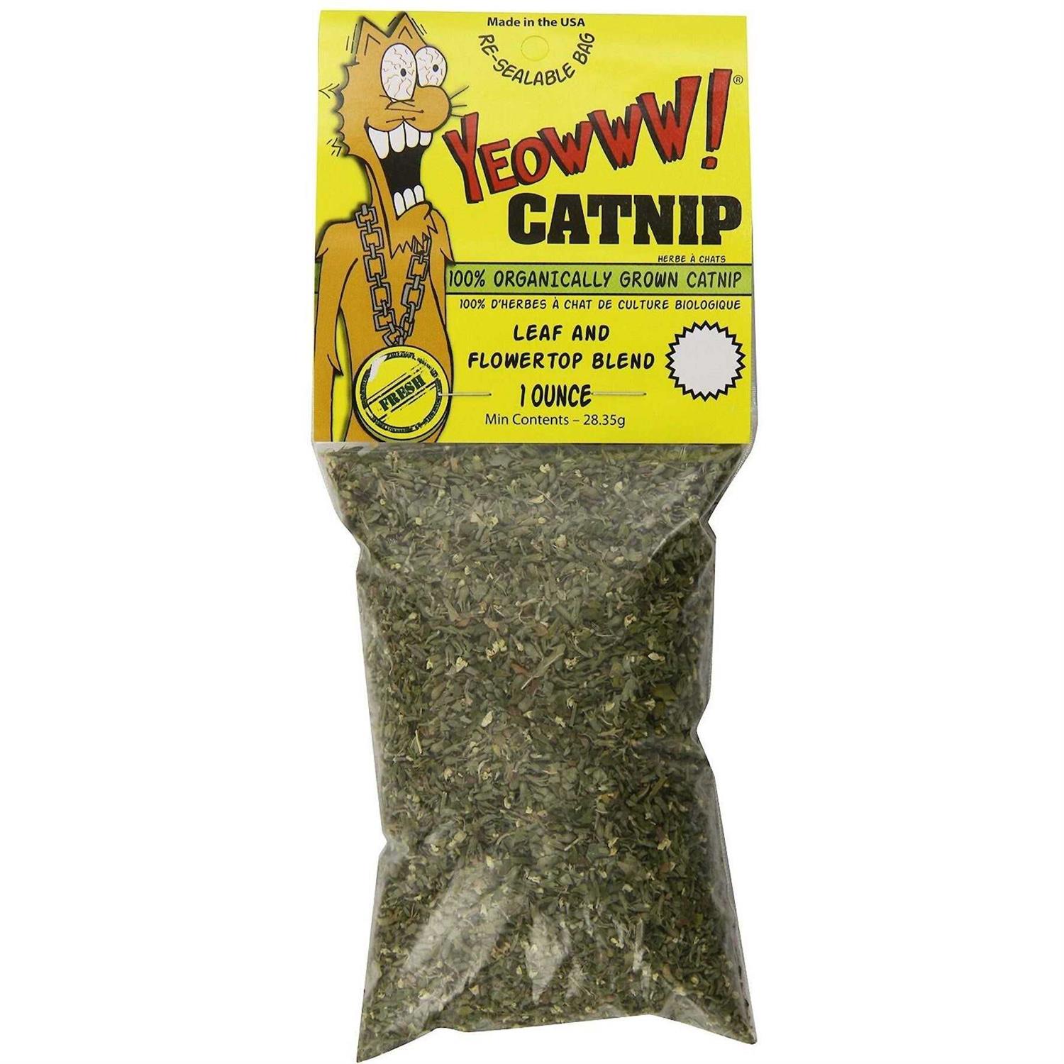 Yeowww! Catnip