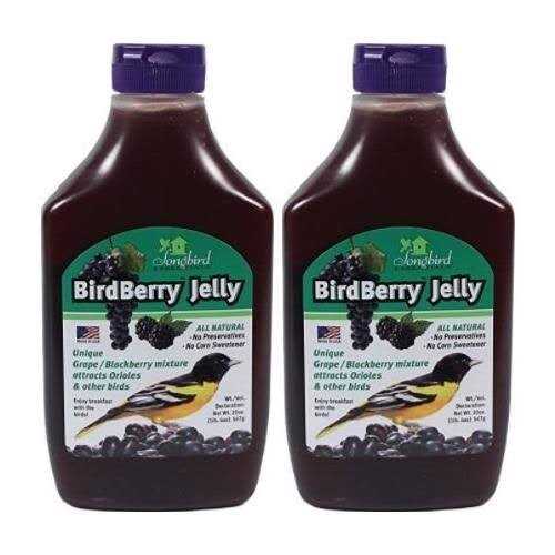 Songbird Essentials Birdberry Jelly 20 oz