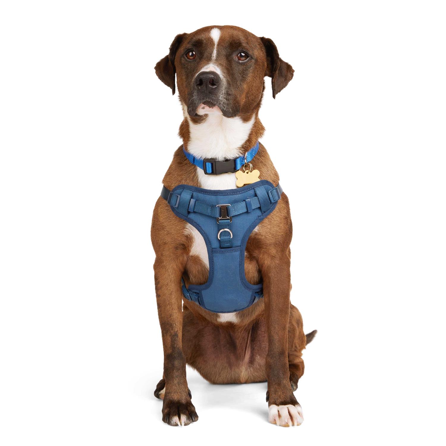 Youly the Champion Padded Step-in Dog Harness