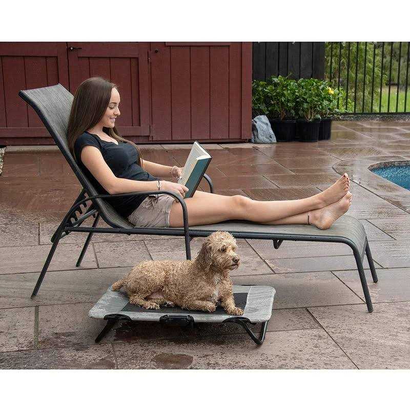 Pet Gear Lifestyle Pet Cot Elevated Bed