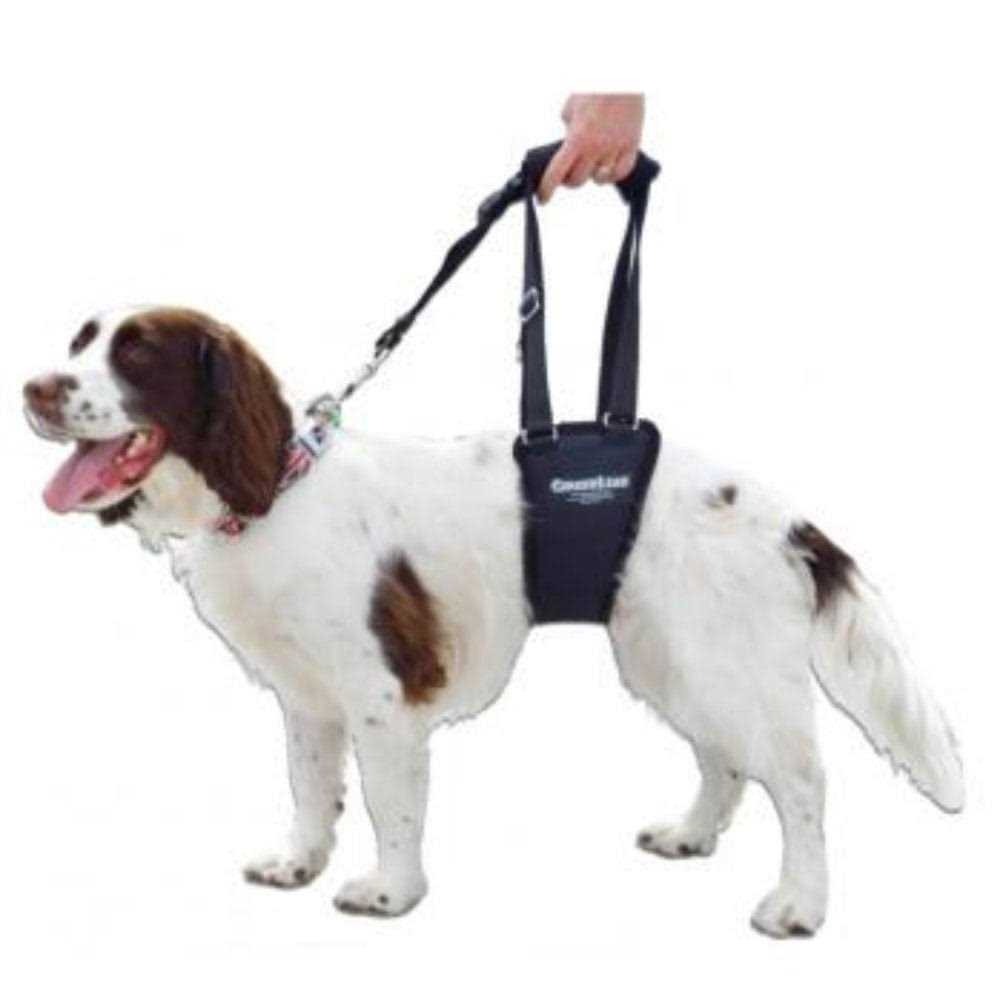 GingerLead Dog Support Rehabilitation Harness