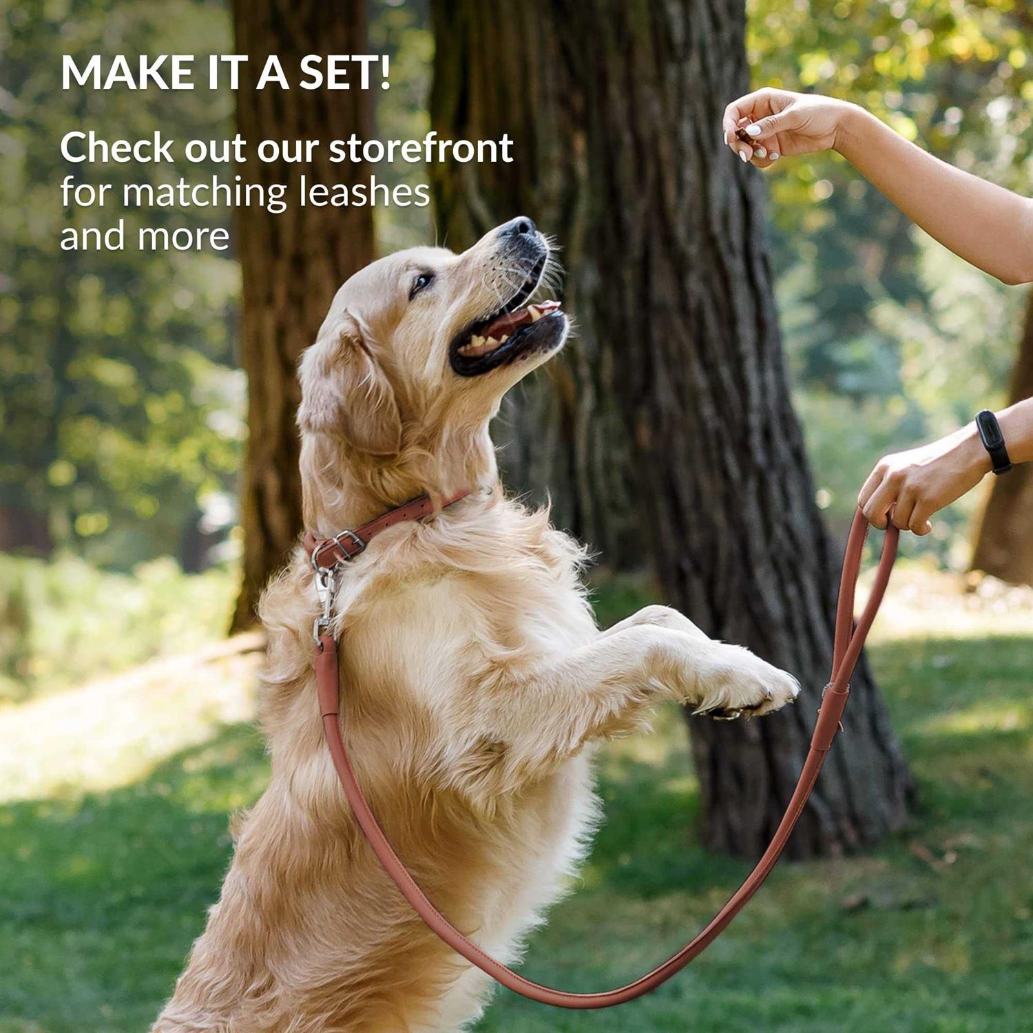 CollarDirect Rolled Leather Dog Collar Soft Padded Round Puppy Collar