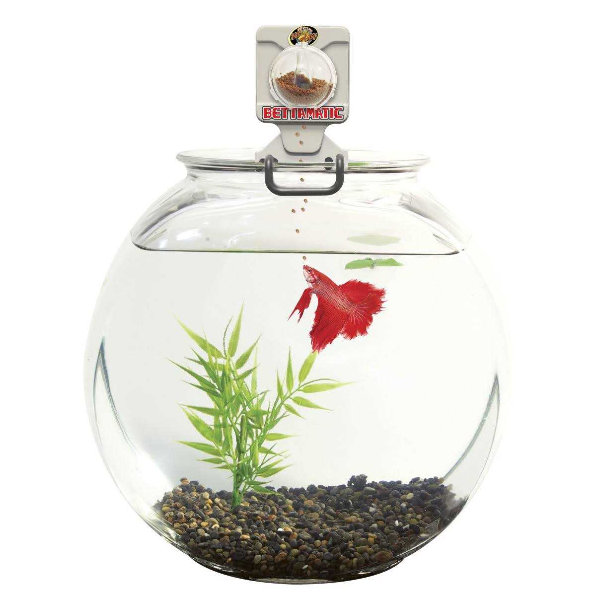 Zoo Med Bettamatic Automatic Daily Betta Feeder