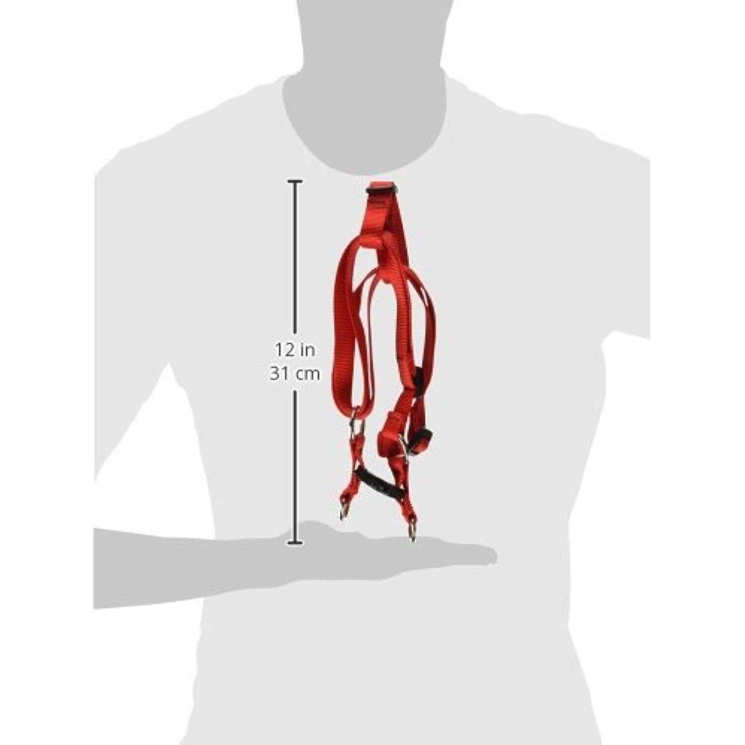 Lupine Dog Step in Harness