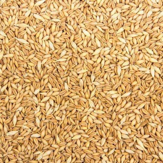 Azure Market Organics Whole Barley Animal Feed Organic