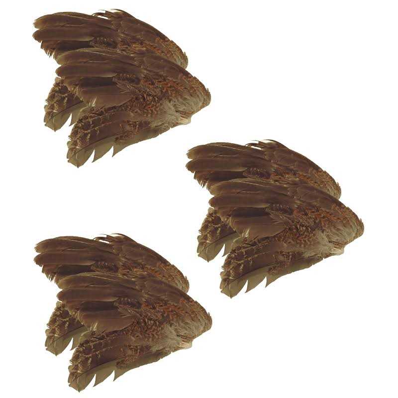 Classic T Designs Quail Wings 6 Pk