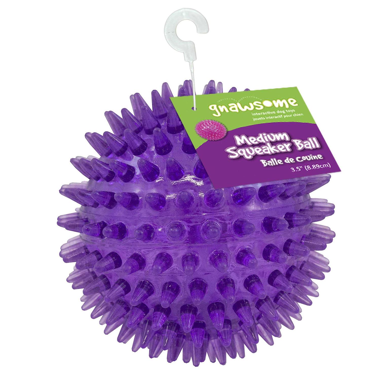 Gnawsome Squeaker Ball Dog Toy