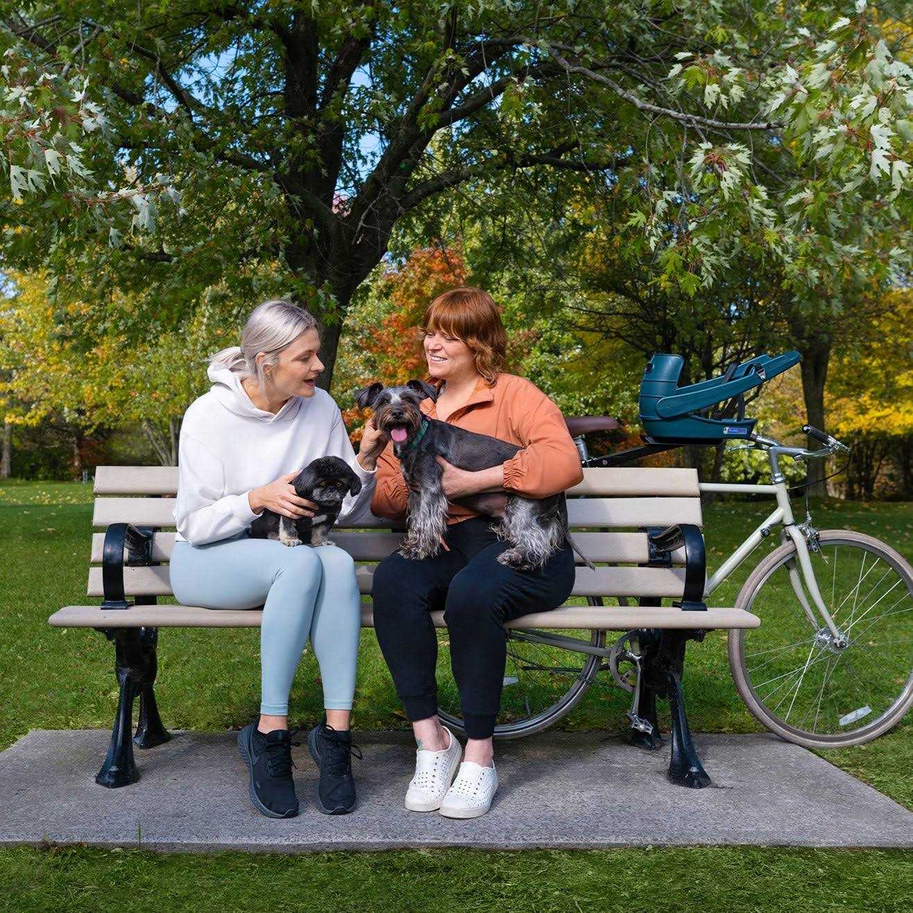 Buddyrider Dog Bicycle Seat Safety Dog Bike Seat For Dogs Up To 25 lbs