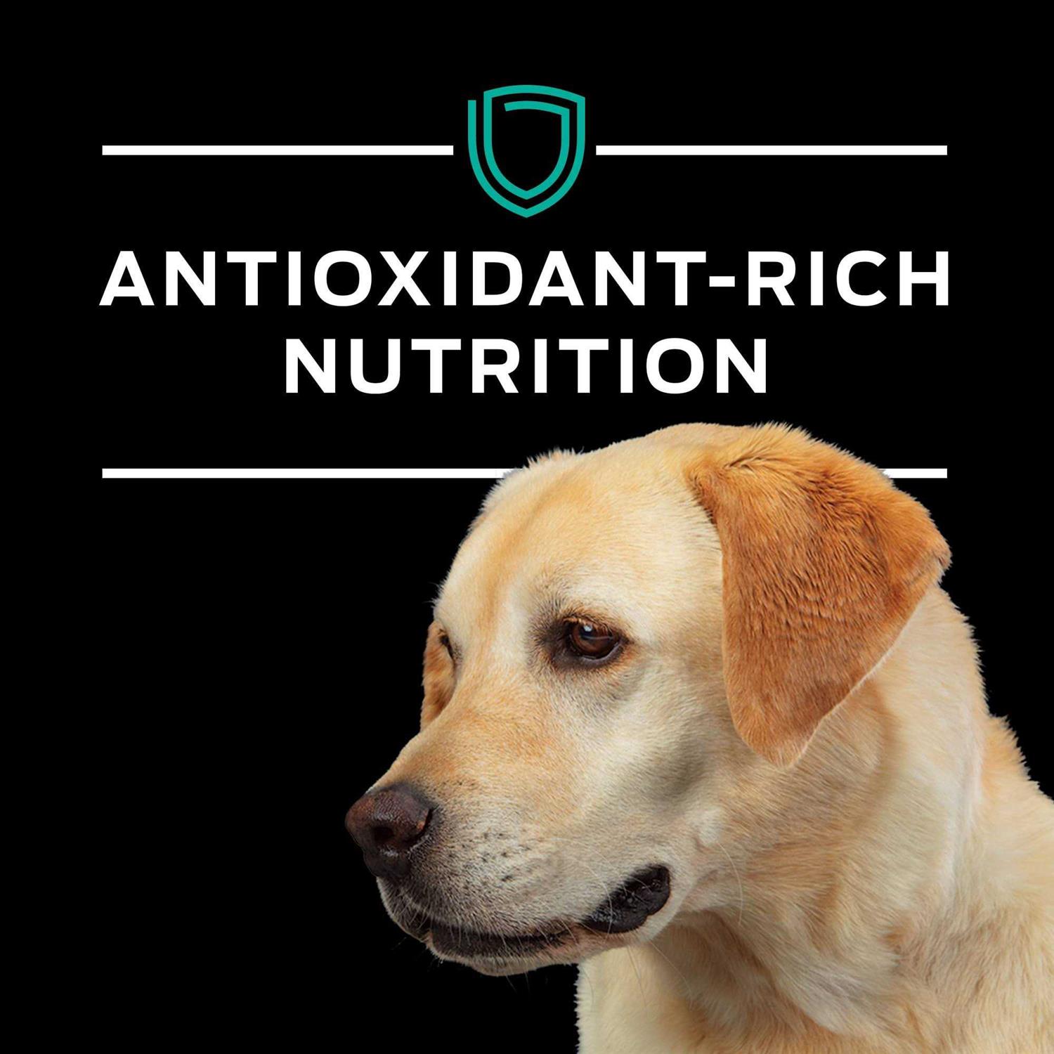 Purina Pro Plan Veterinary Diets EN Gastroenteric Formula Dry Dog Food