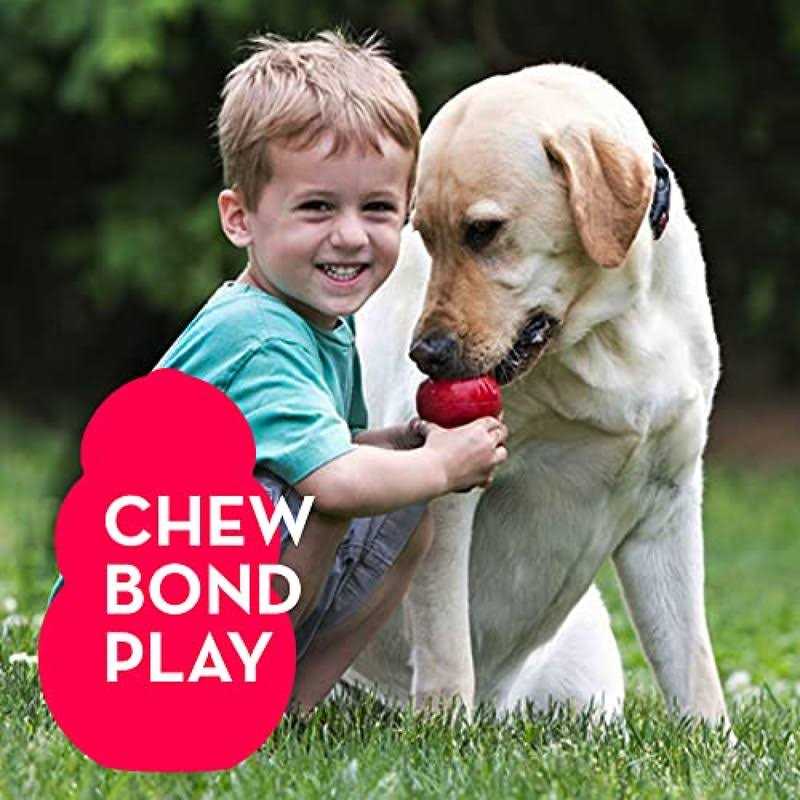 LOYEE Puppy Toys 21 Pack Small Dog Chew Toys with Rope Toys for Teething Pet Cute Squeak Toy with Treating Ball for Puppy
