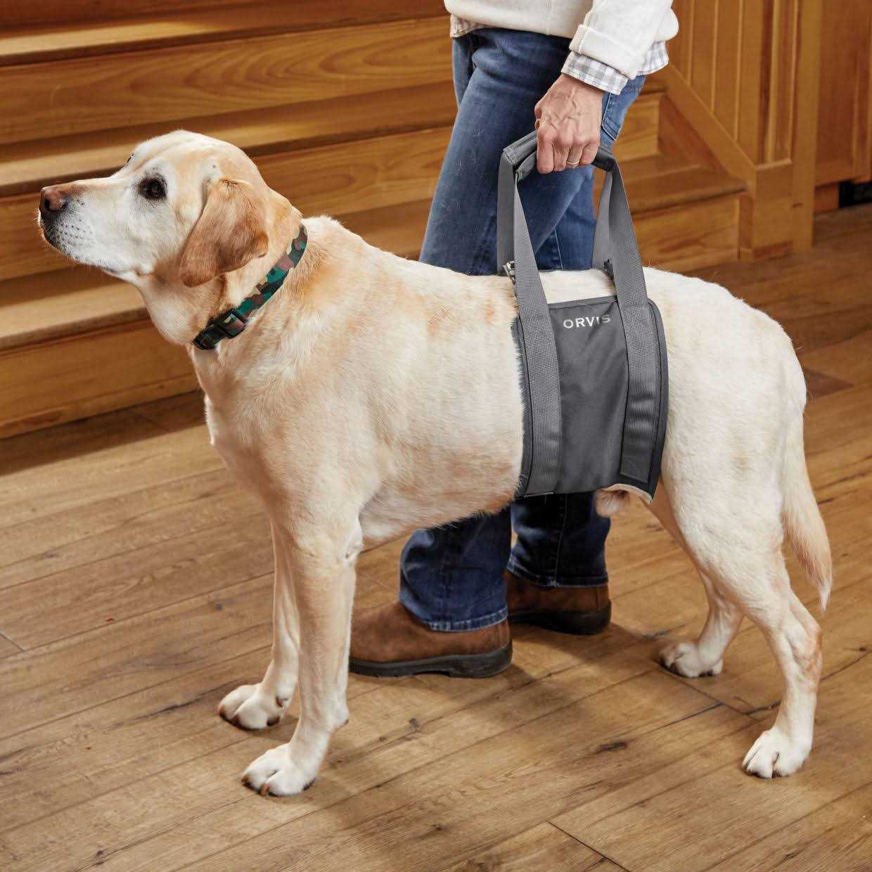 Orvis Gray Rear Dog Lift