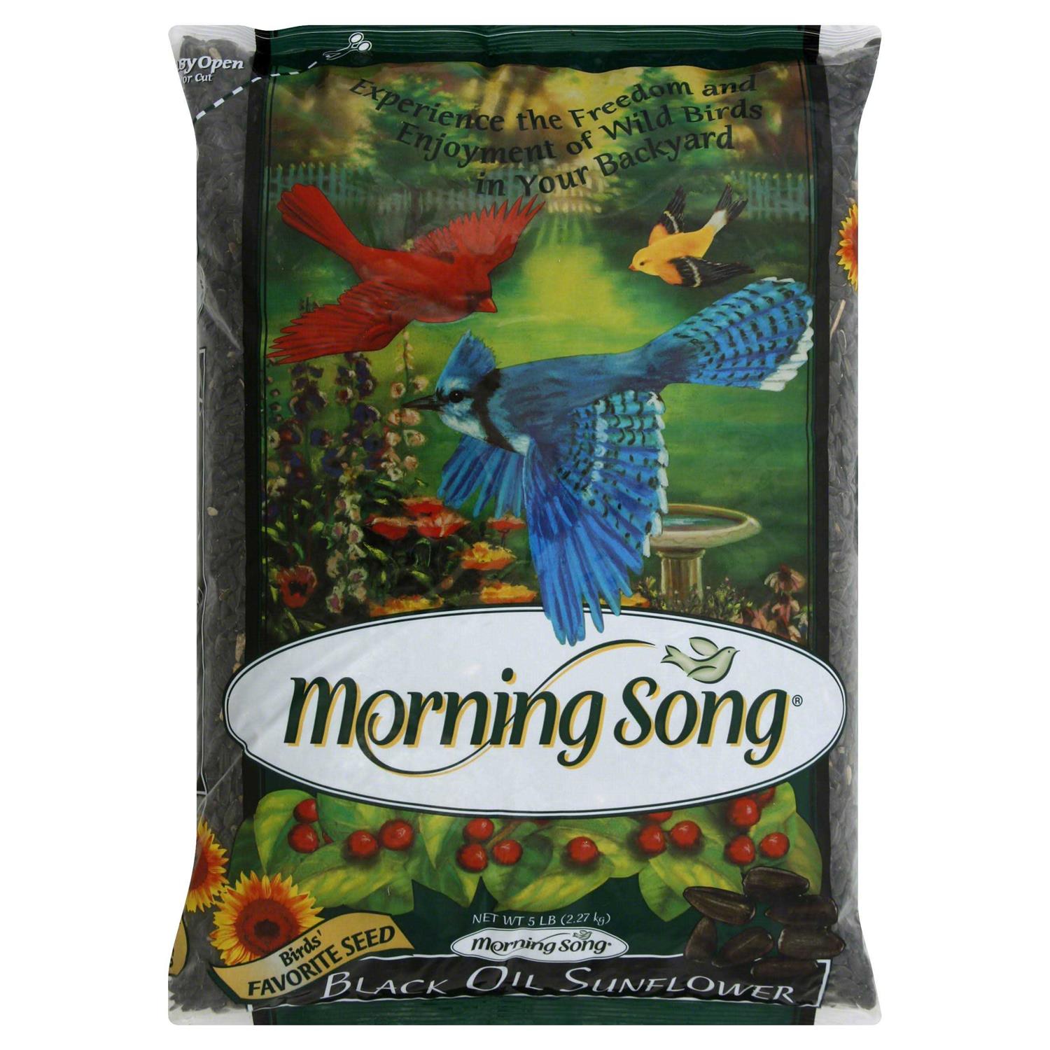 Morning Song Black Oil Sunflower Wild Bird Food
