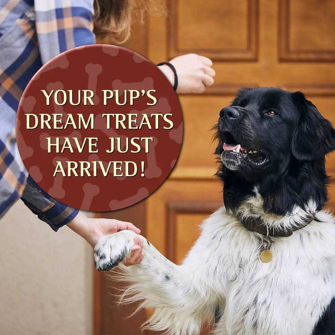 Zignature Soft Moist Dog Treats