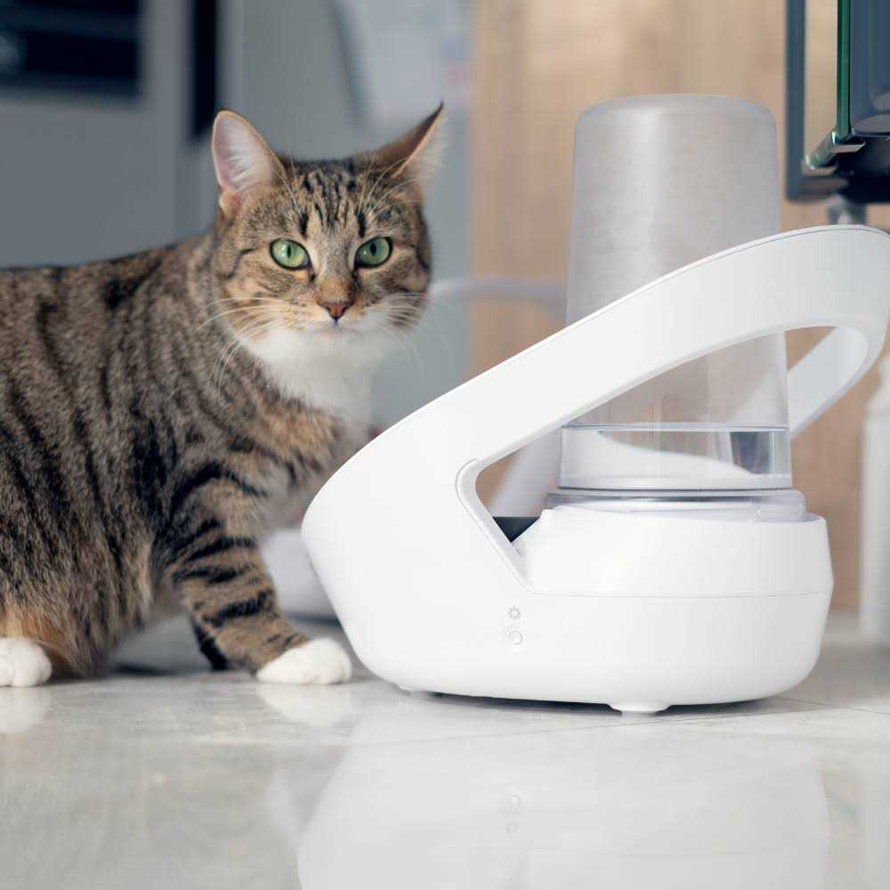 Sure Petcare Felaqua Connect