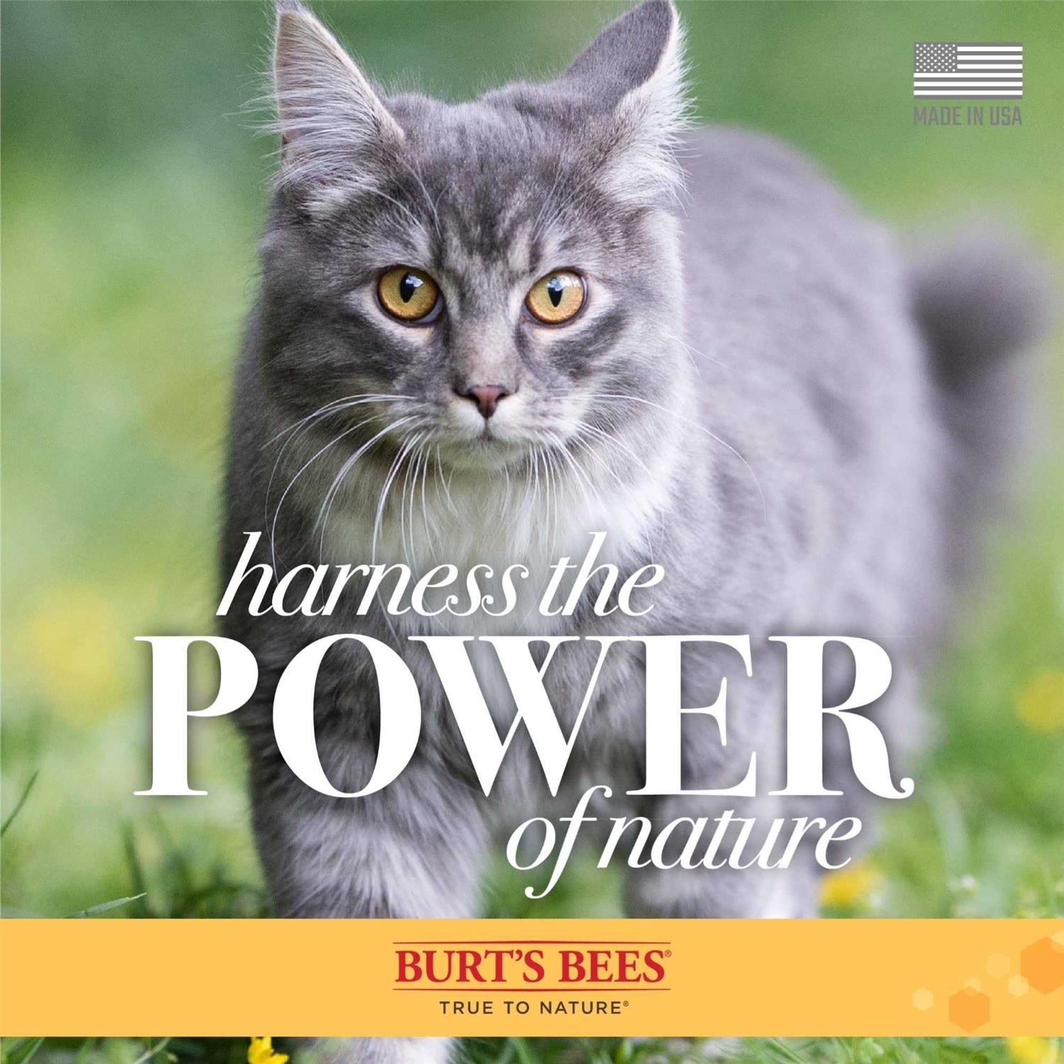 Burt’s Bees Waterless Shampoo for Cats with Apple & Honey