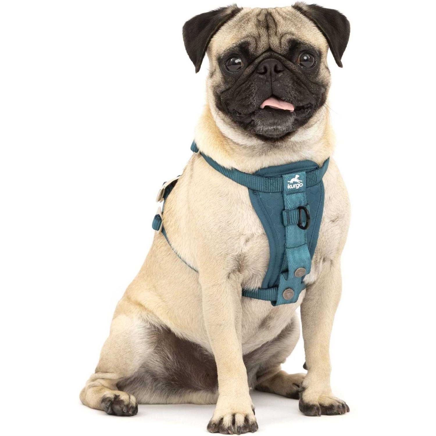 Kurgo Enhanced Strength Tru-Fit Dog Harness