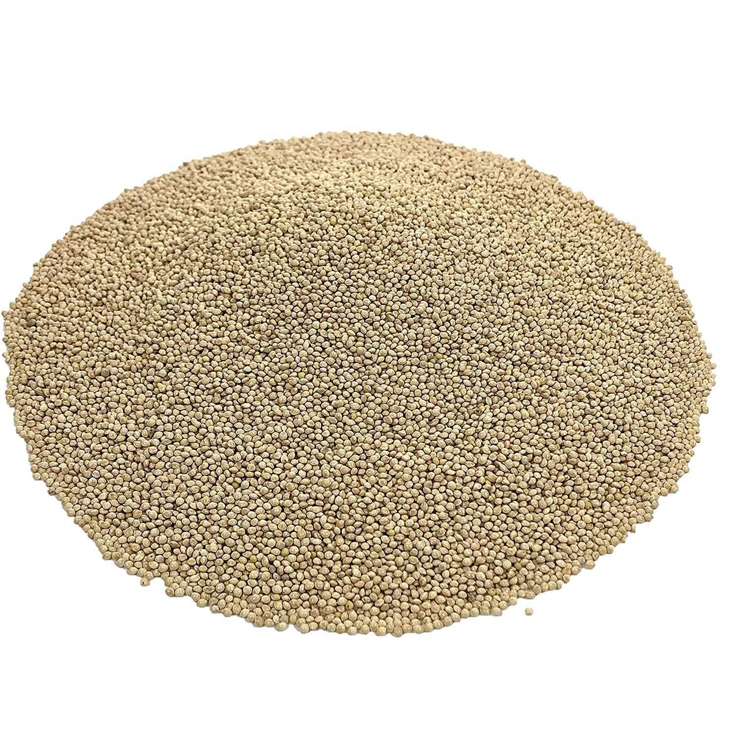 KAYSO INC Premium White Proso Millet Bird Seed Feed,10lbs Bulk Bag