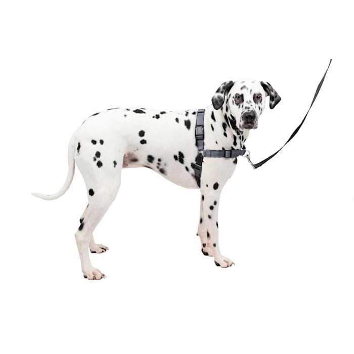 PETSAFE Easy Walk Harness