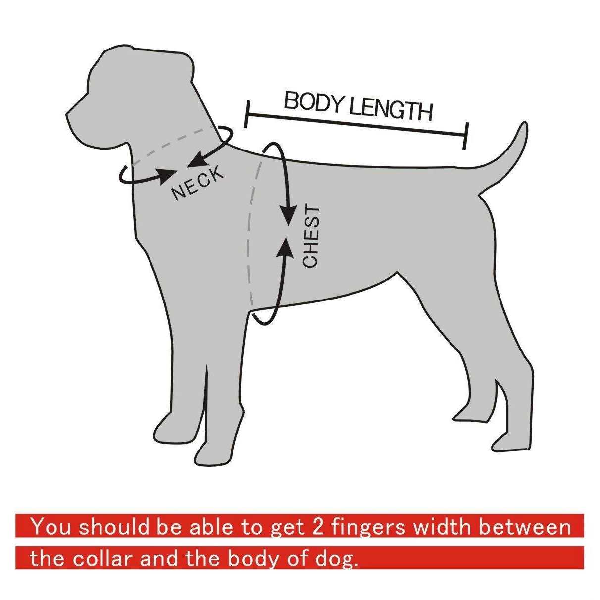 Berry Pet Black Leather Spikes Studded Medium & Large Dog Collar & Leash & Harness 3 Pcs Set for Pitbull Boxer