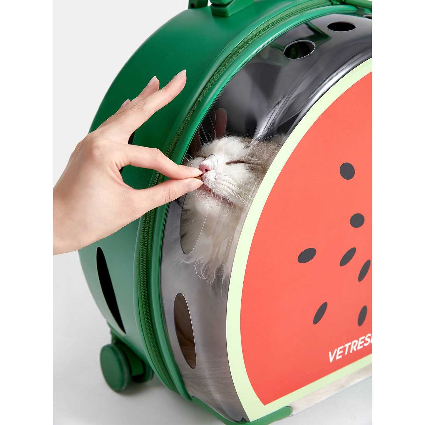 Vetreska Dog & Cat Carrier