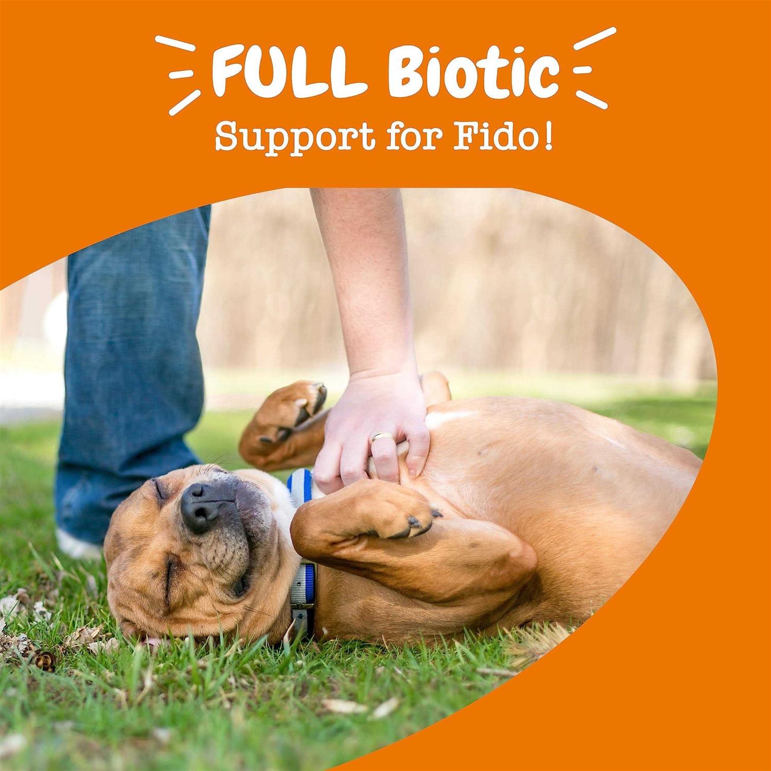 Zesty Paws Vet Strength Pre Post & Probiotic Gut Health Bites for Dogs