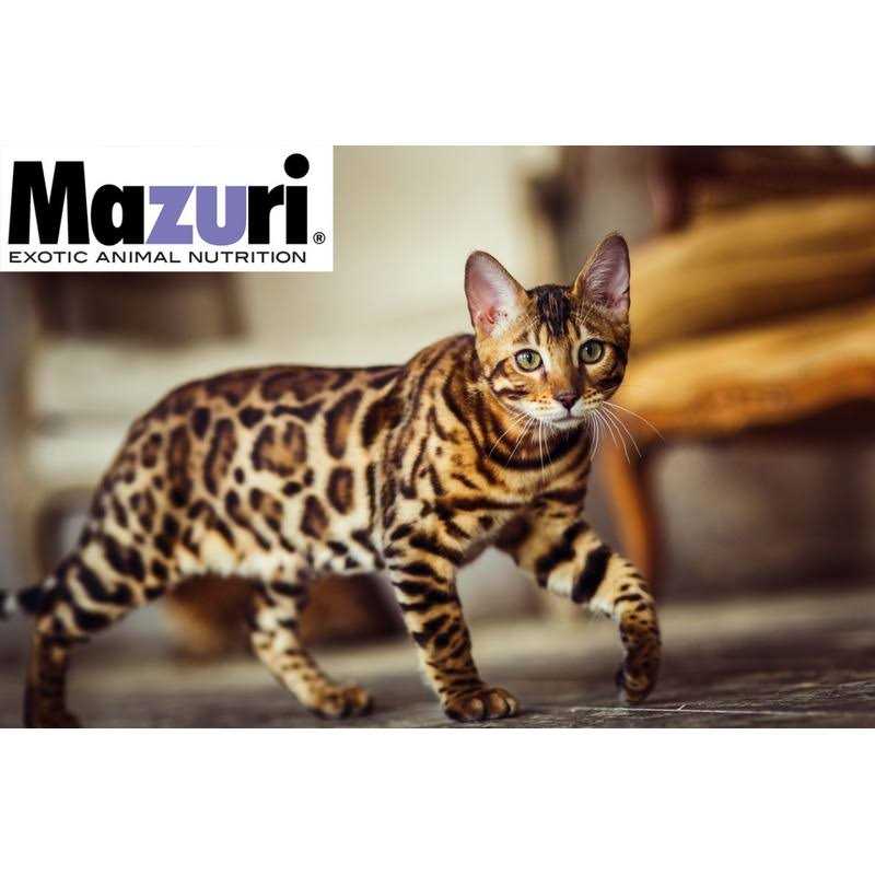 Mazuri Exotic Feline Diet