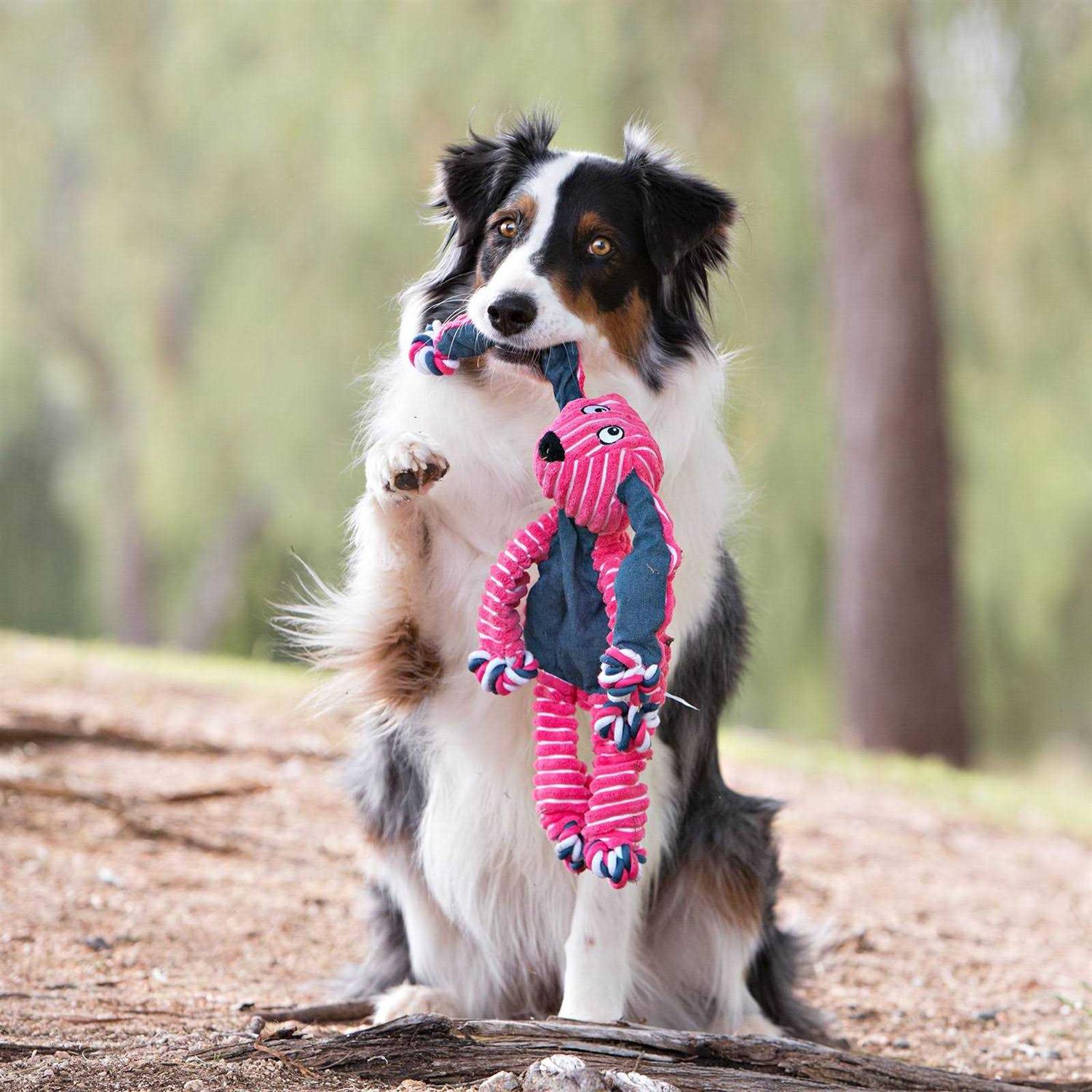 KONG Floppy Knots Bunny Dog Toy