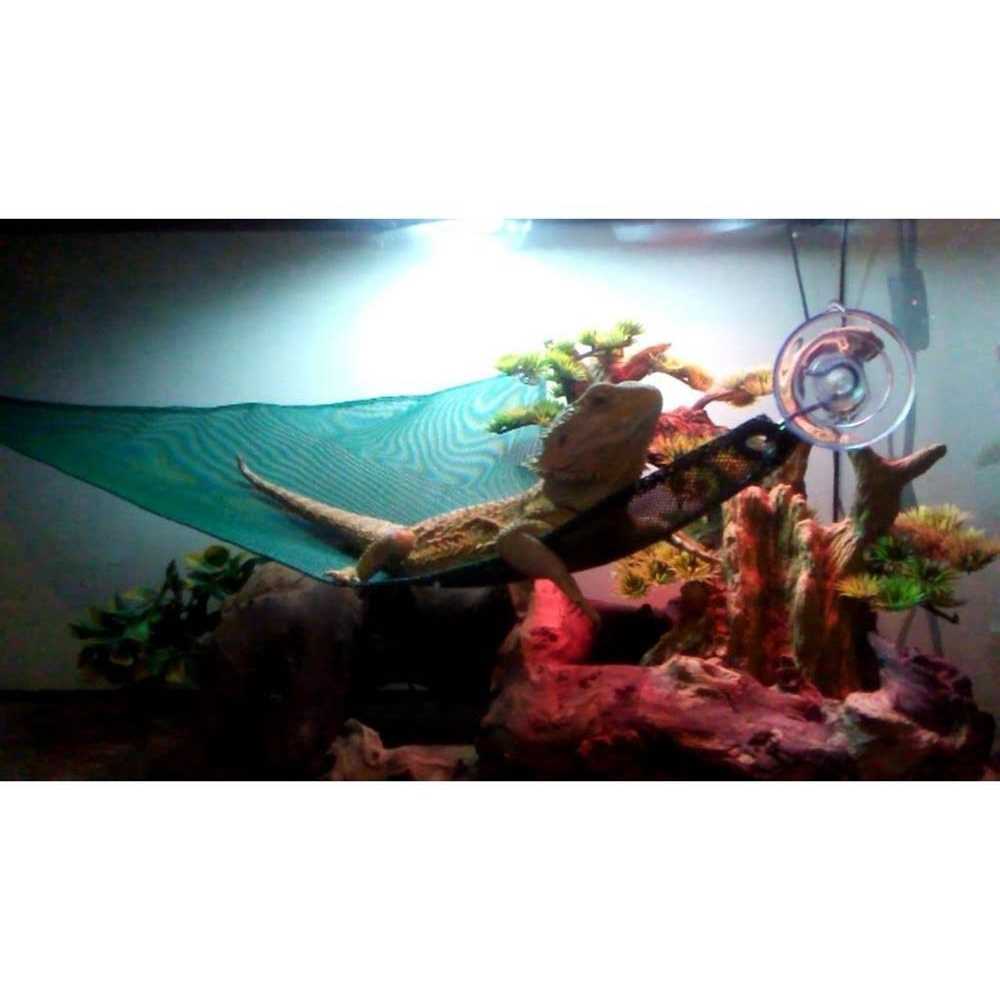 Zoo Med Repti Hammock