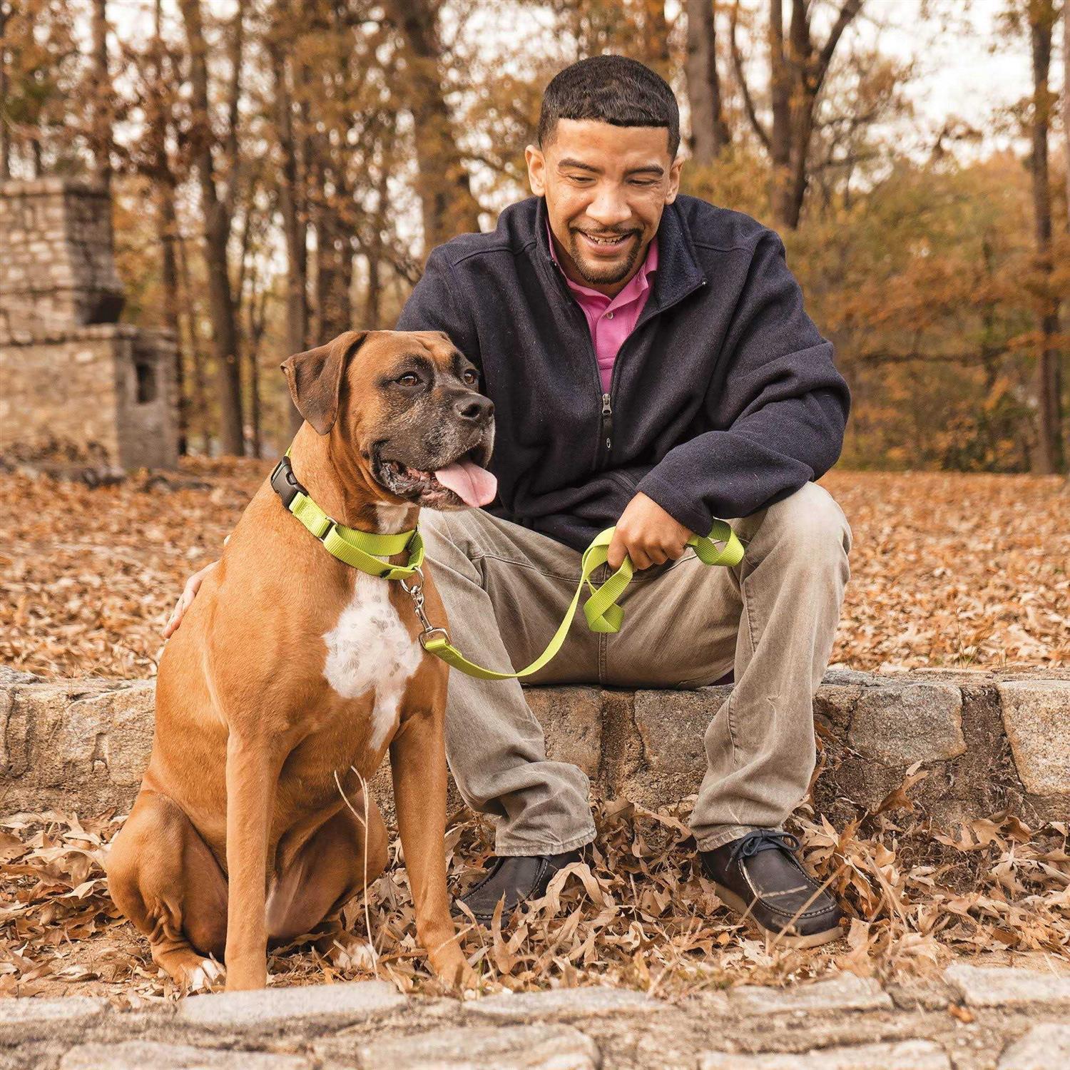 PetSafe Martingale Collar Quick Snap