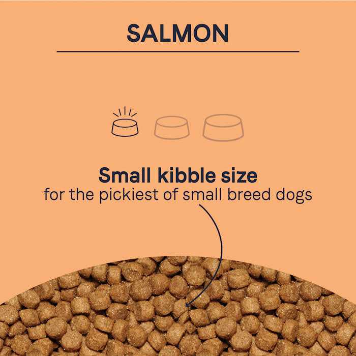Canidae Pure Petite Small Breed Salmon Dry Dog Food