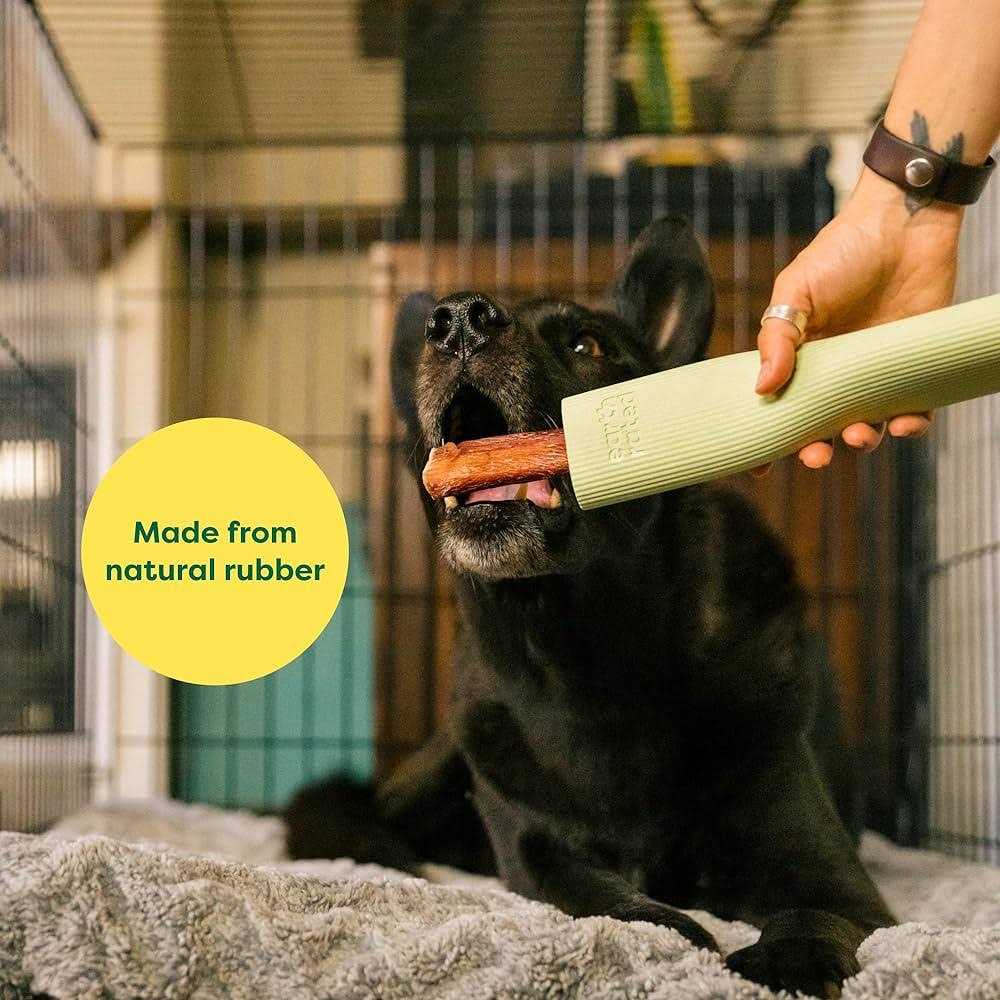 Earth Rated Rubber Chew Dog Toy