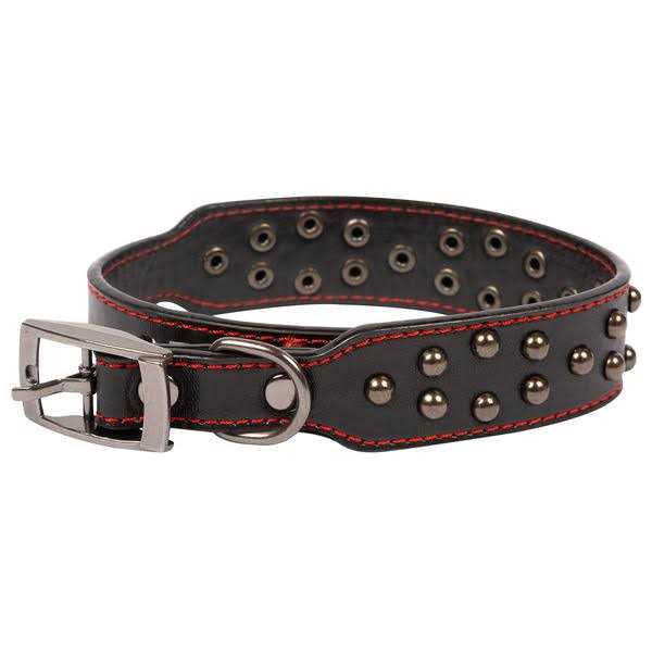 Vibrant Life Studded Leather Fashion Dog Collar