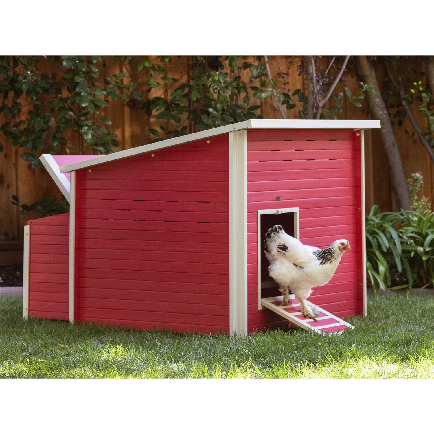 New Age Pet Ecoflex Jumbo Fontana Chicken Barn