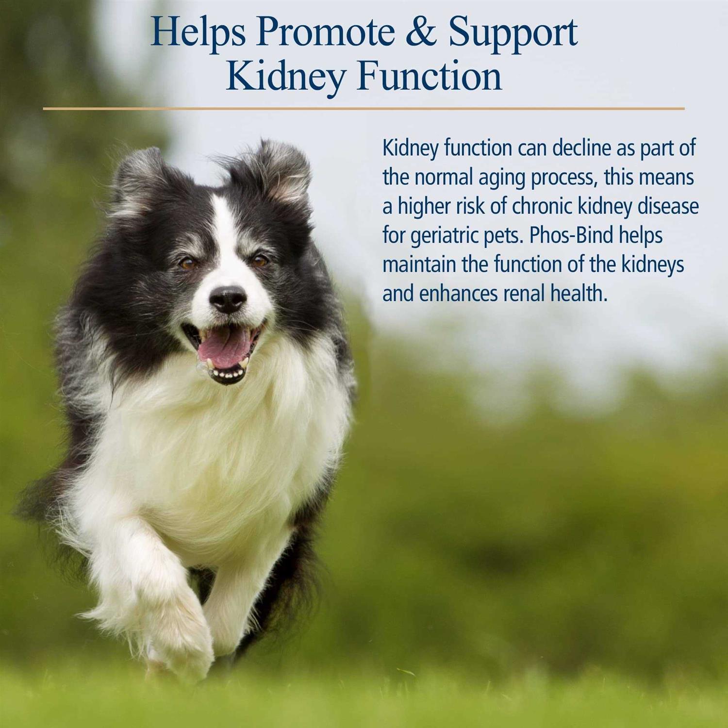 Rx Vitamins For Pets