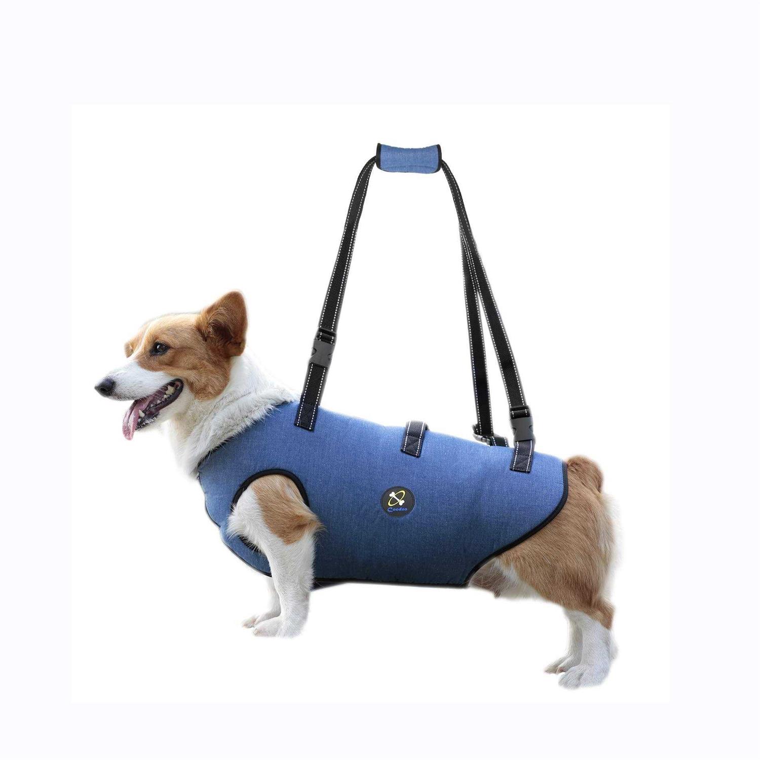 Coodeo Dog Lift Harness Support & Recovery Sling Pet Rehabilitation Lifts Vest Adjustable Breathable Straps for Old