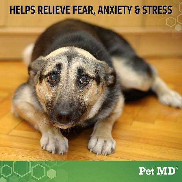 Pet MD Calming Hemp Calming Supplement Soft Chew for Dogs