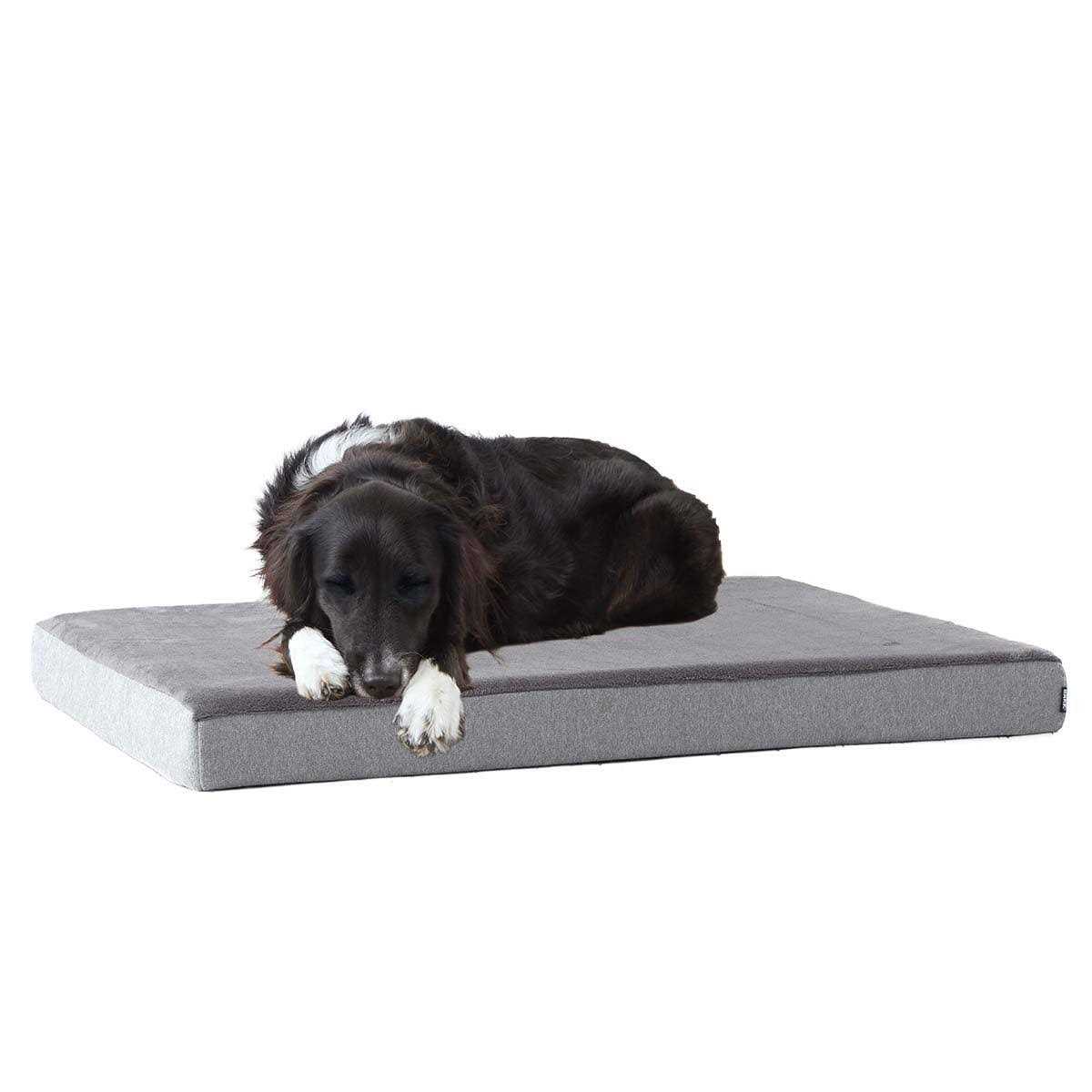 Barkbox Memory Foam Platform Dog Bed Plush Mattress for Orthopedic Joint Relief