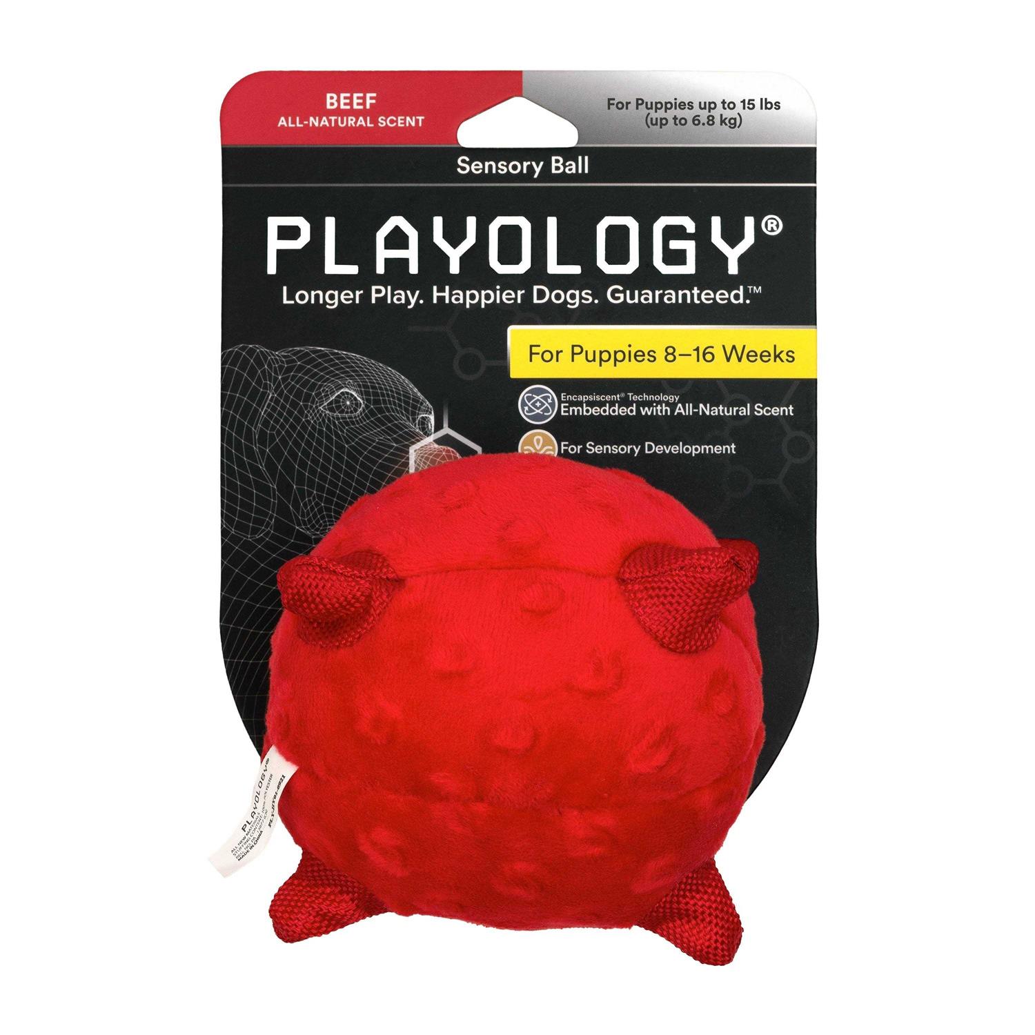 Playology Puppy Sensory Ball Dog Toy