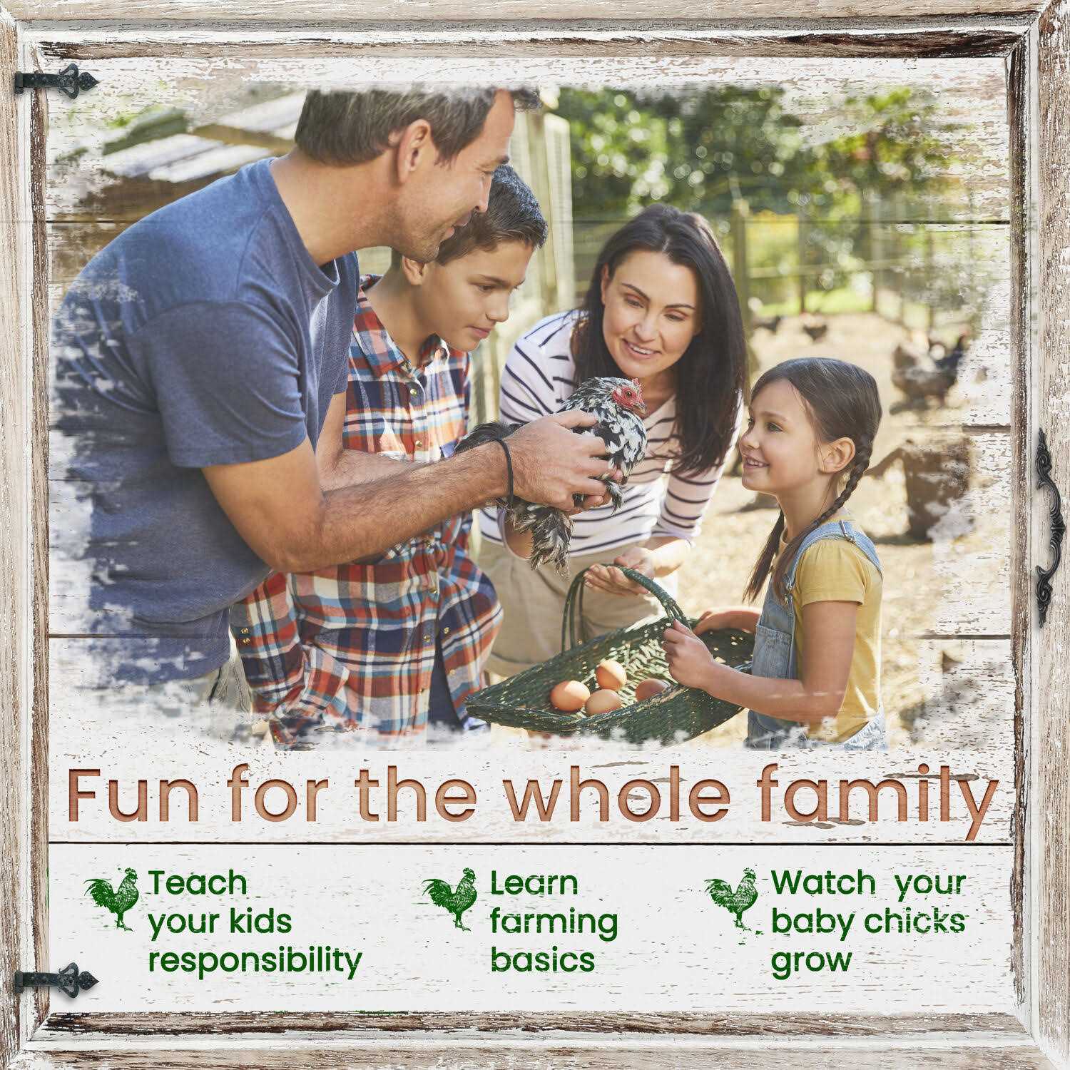 Hanover Outdoor Wooden Chicken Coop with Ramp Large Wire Mesh Run