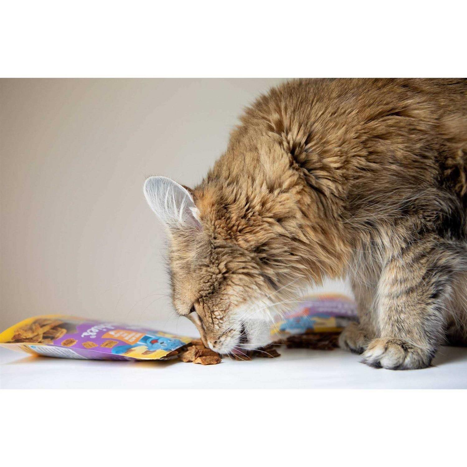 Blue Cat Bakery Meow Munchies Cats