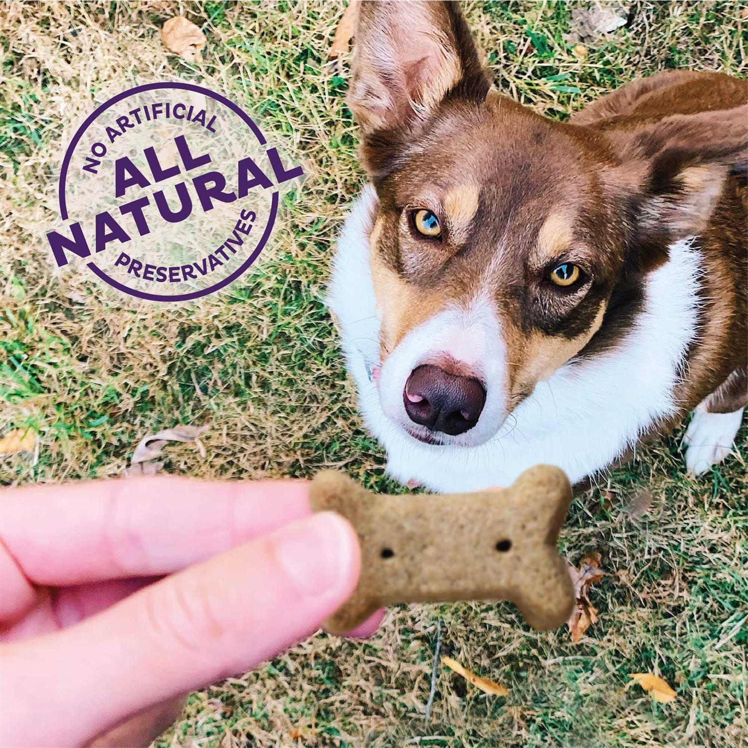 Old Mother Hubbard Crunchy Classic Natural Original Dog Biscuits Small