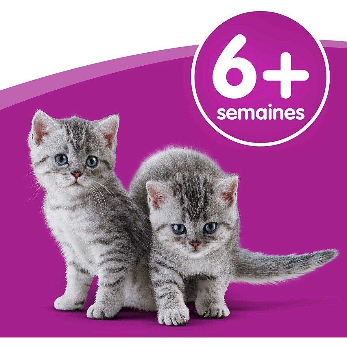 Whiskas Cat Milk